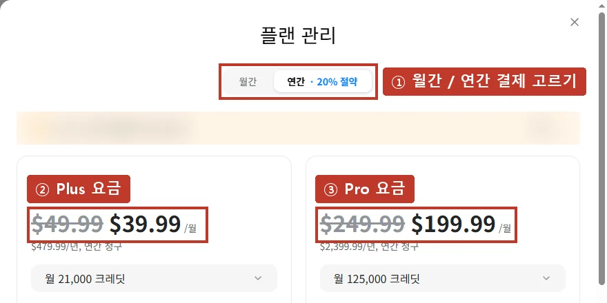 요금(플랜) 화면, 월간·연간 결제를 고르고 Plus·Pro 요금을 봅니다. 사진 속 계정 상태 줄은 가렸습니다.